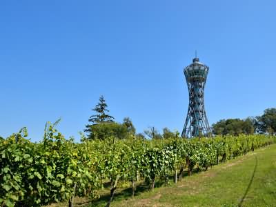 Lendava Vinarium Tower Castle Grad Goričko Slovenia Cycling Retreat