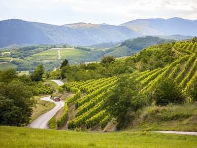 Vipava Valley Karst Slovenia Cycling tour