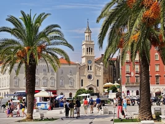 Split Town Croatia SloveniaCycling tour
